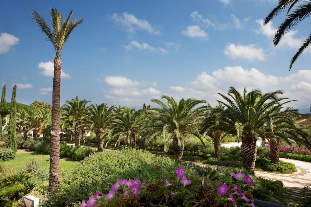 المظهر الخارجي