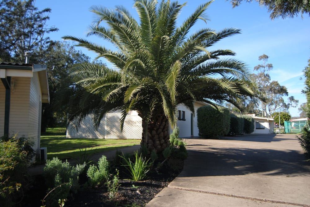 المظهر الخارجي