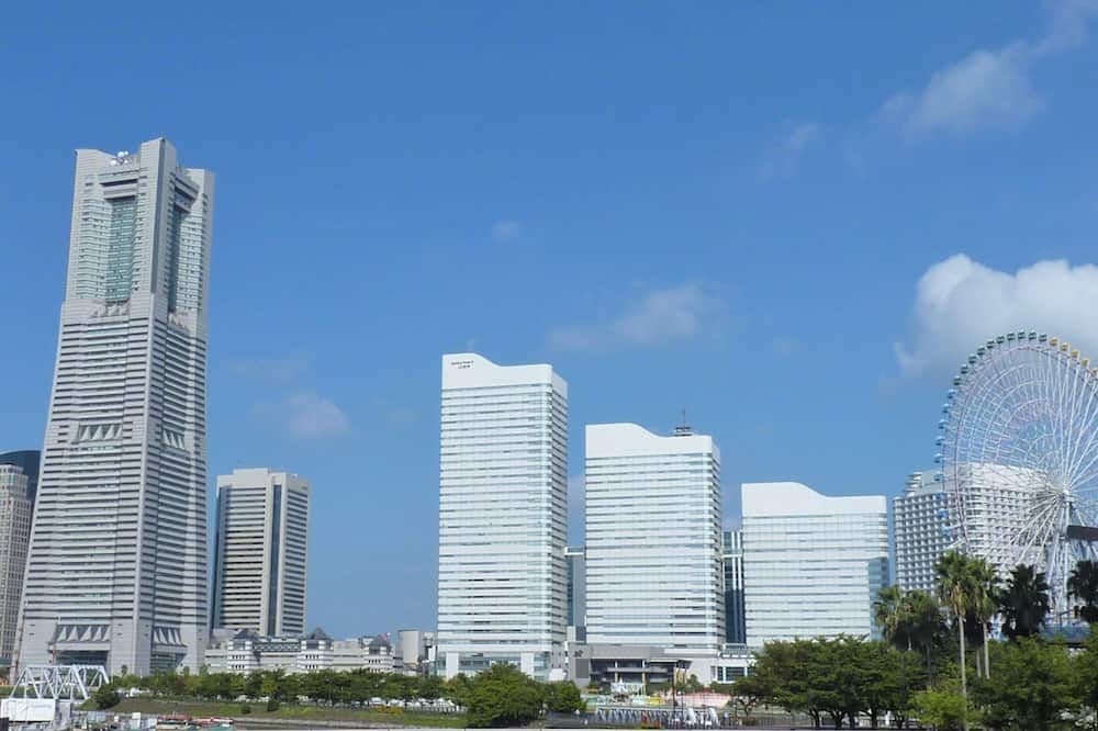 المظهر الخارجي