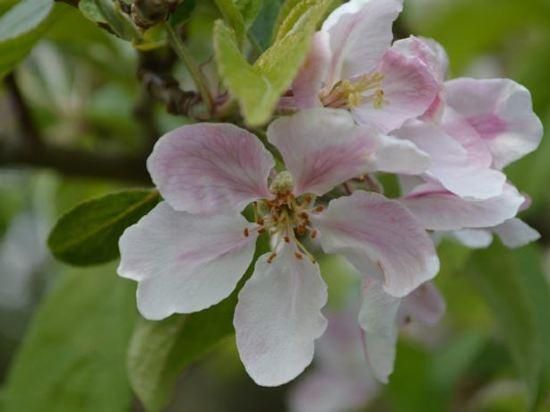 المظهر الخارجي