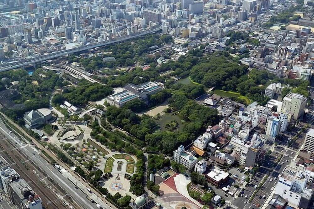 المظهر الخارجي