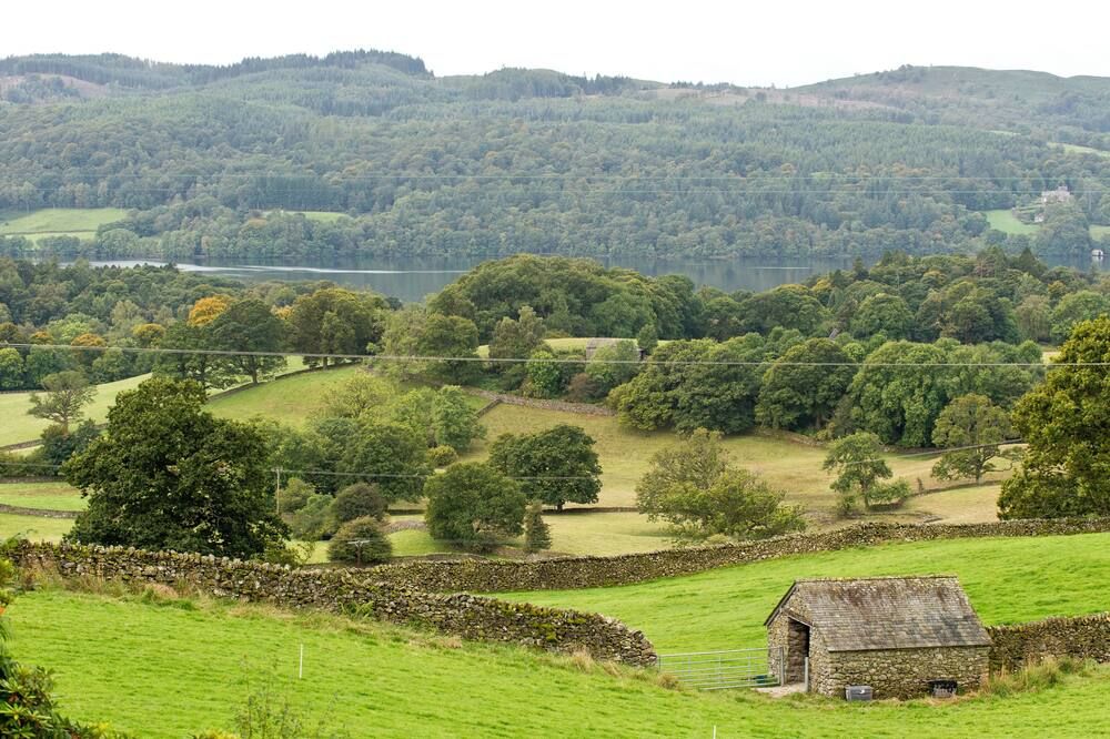 المظهر الخارجي