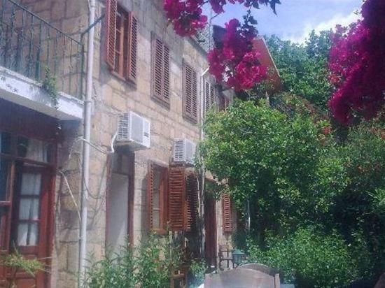 المظهر الخارجي