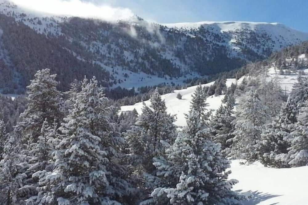 المظهر الخارجي