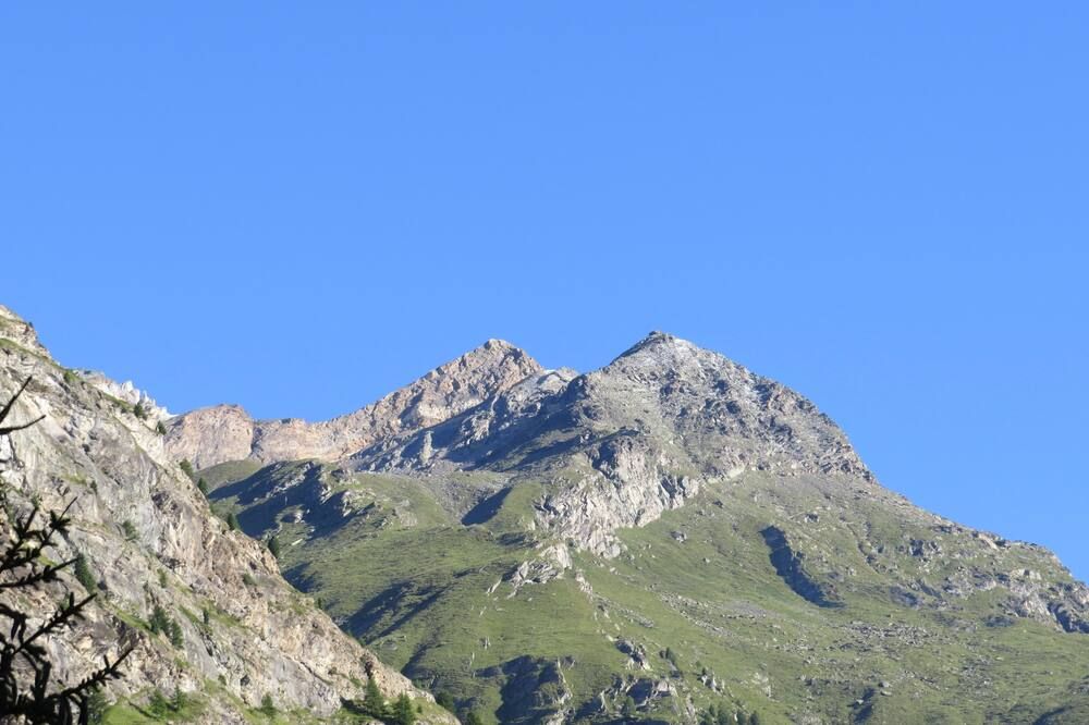 المظهر الخارجي