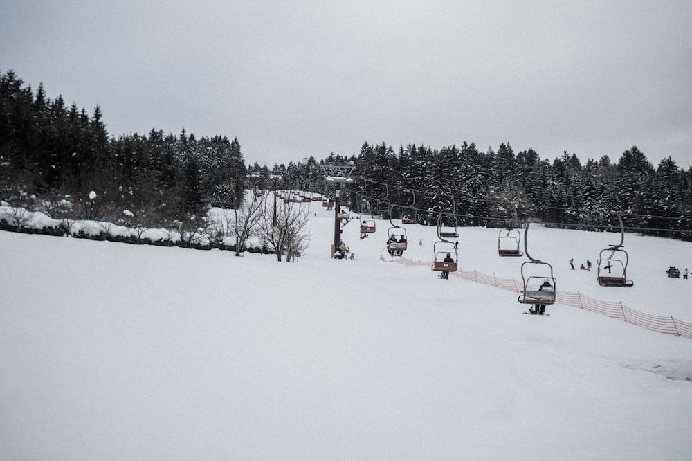المظهر الخارجي