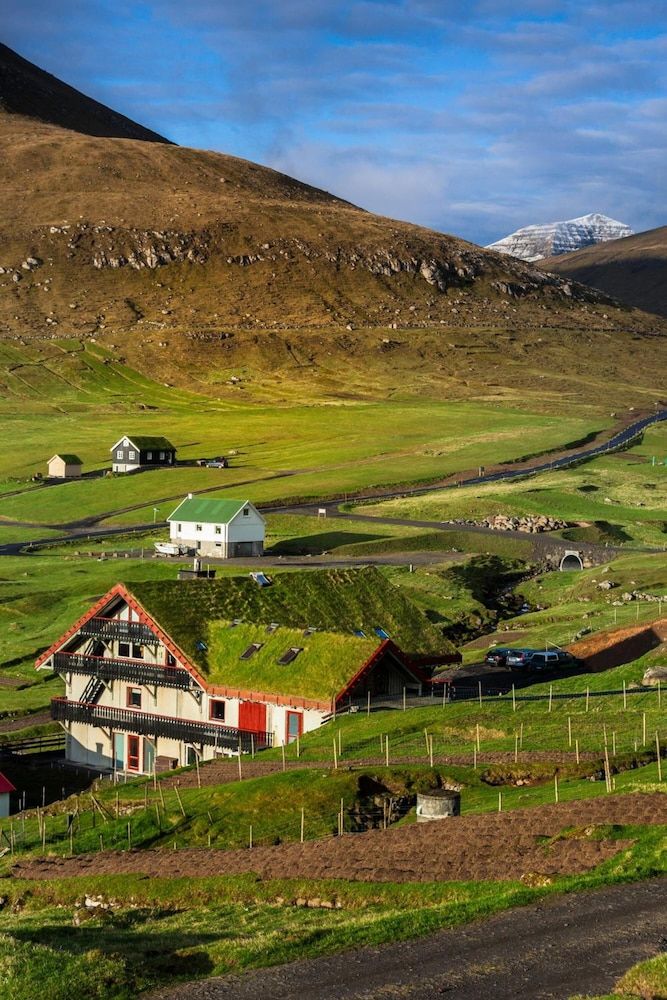 المظهر الخارجي