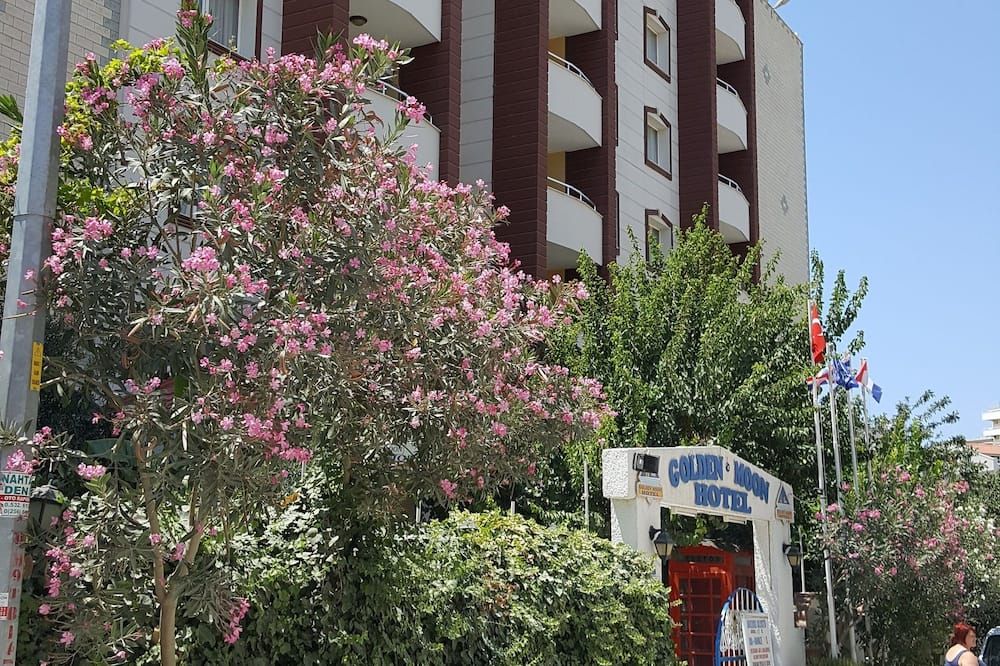 المظهر الخارجي