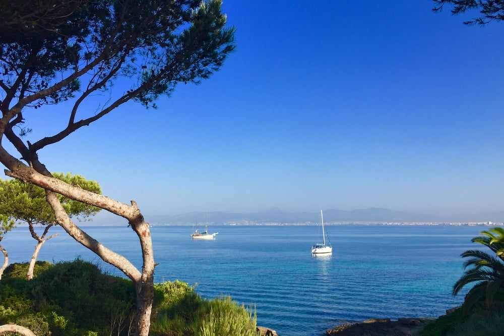 المظهر الخارجي