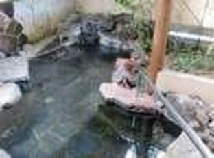 المظهر الخارجي