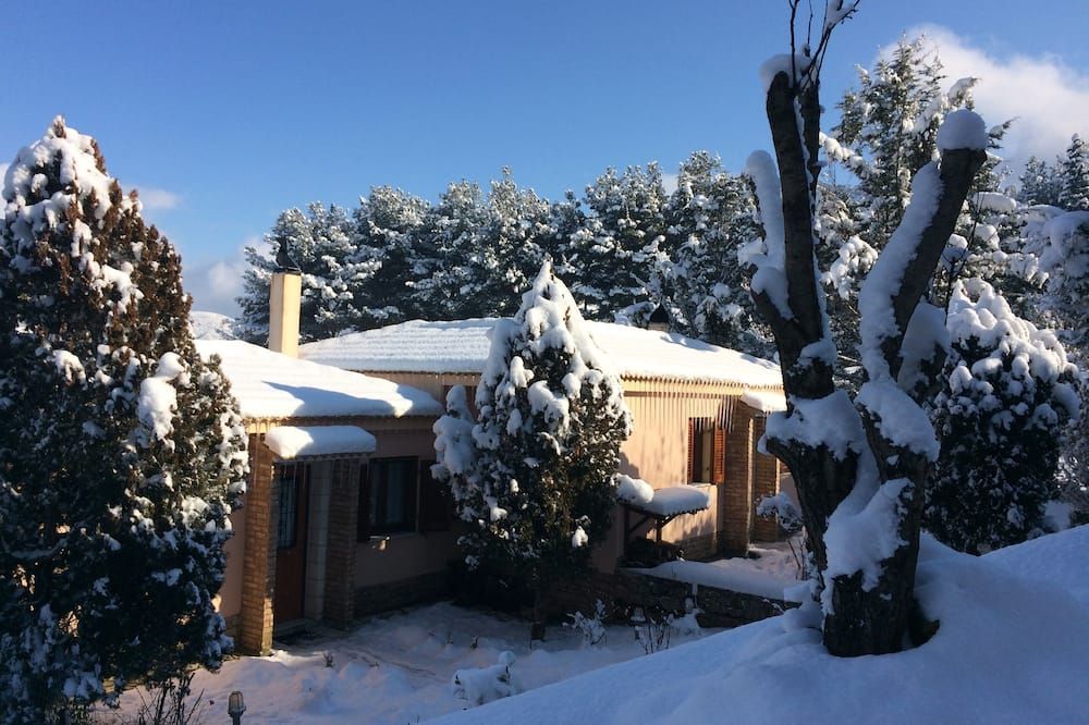 المظهر الخارجي