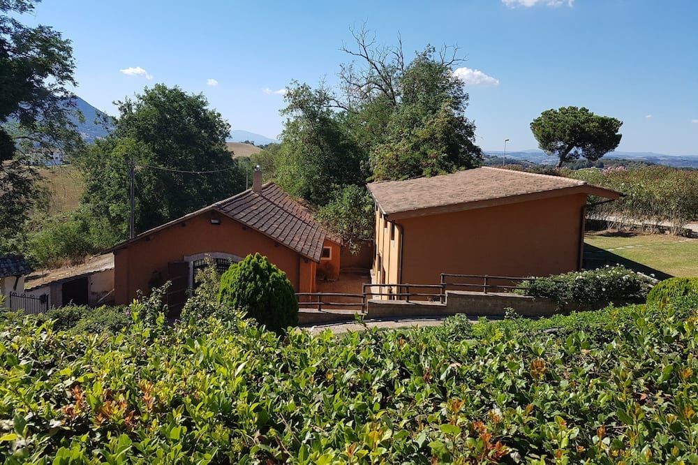 المظهر الخارجي