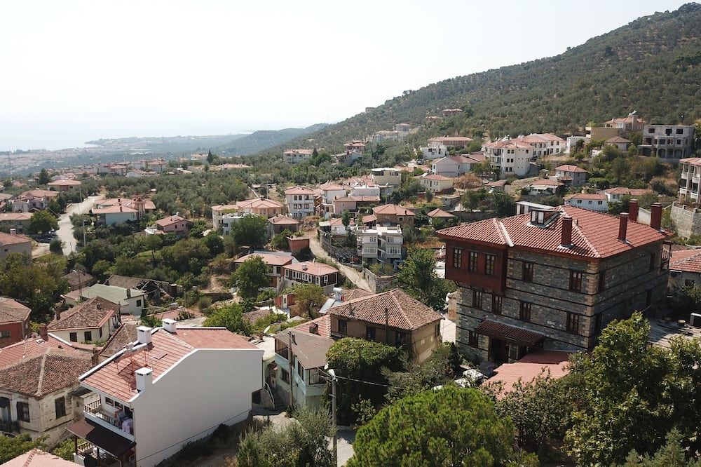 المظهر الخارجي