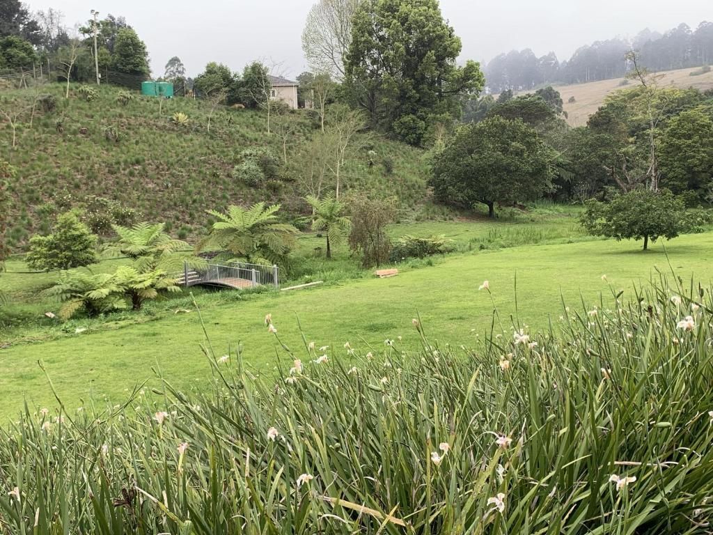 المظهر الخارجي