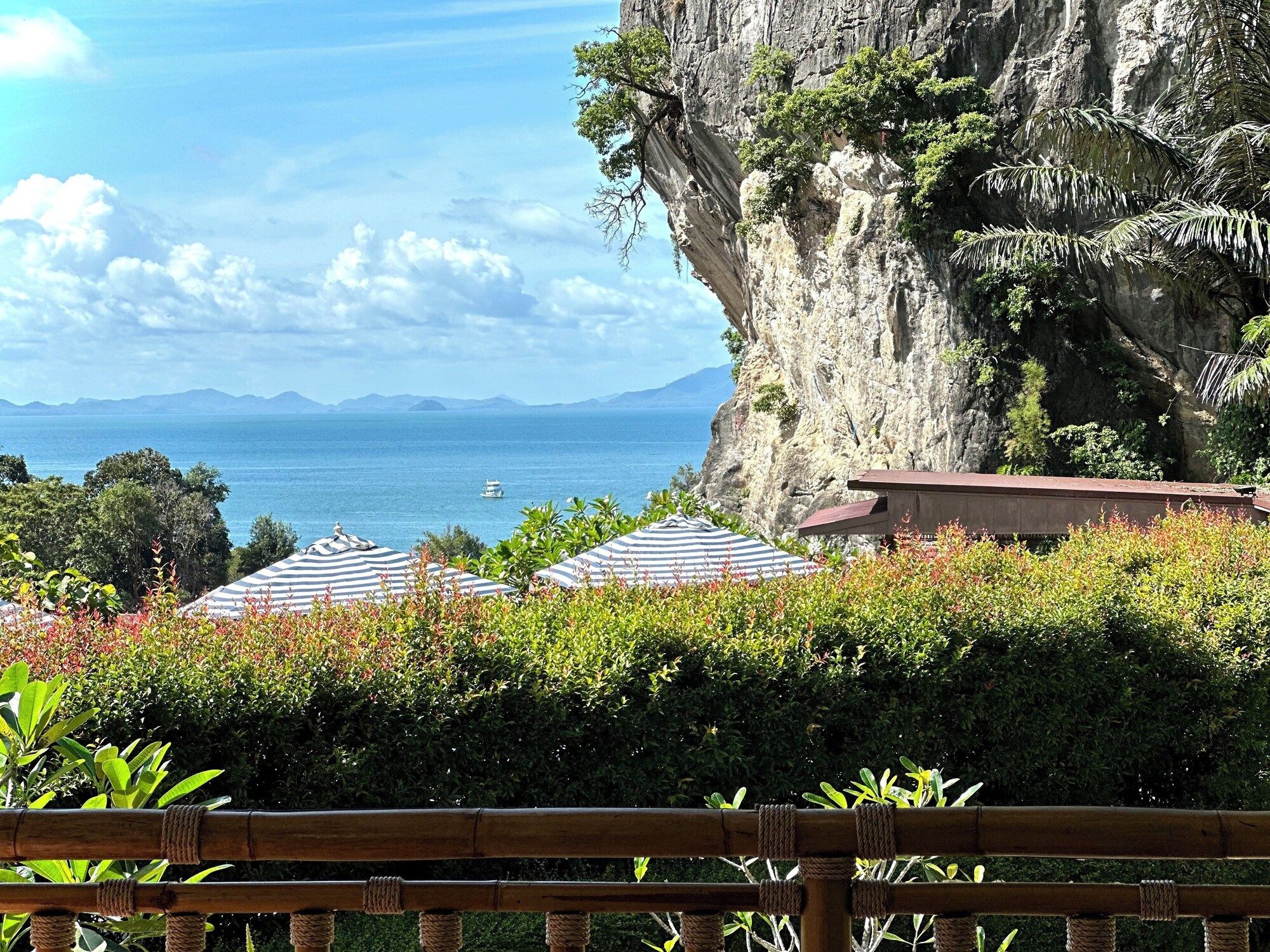 المظهر الخارجي