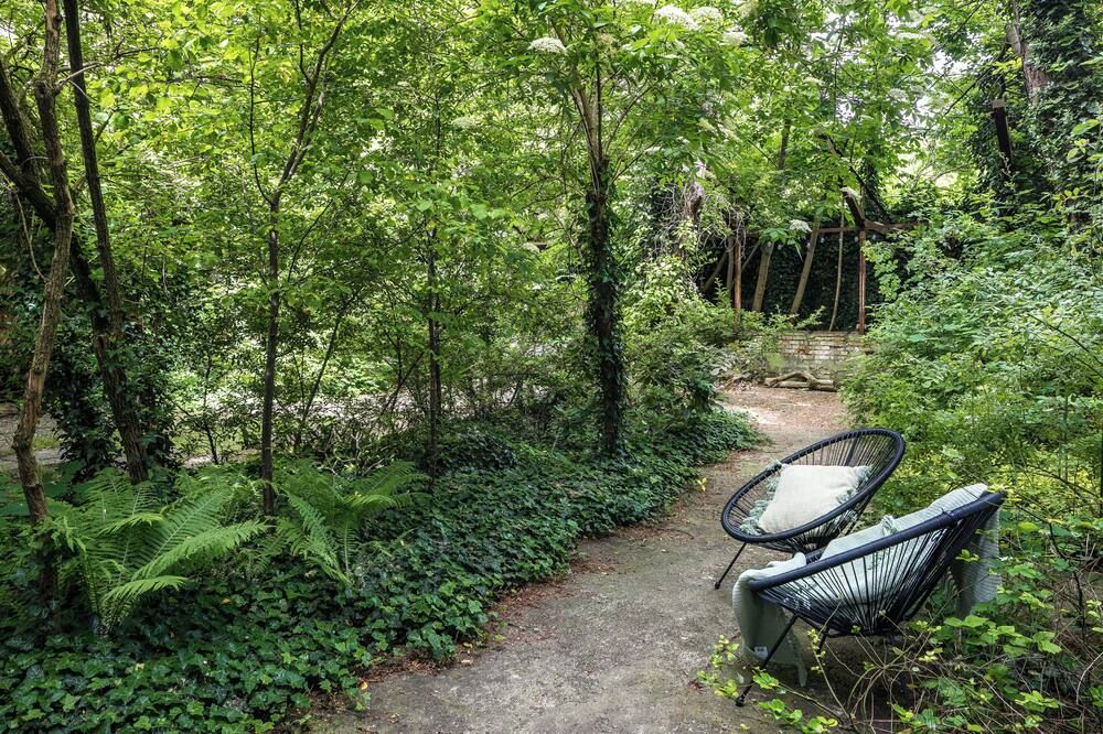 المظهر الخارجي