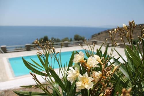 حوض السباحة صورة