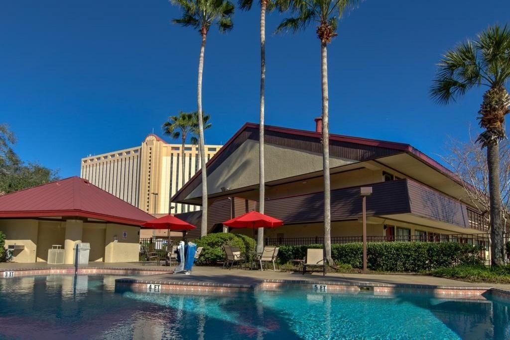 حوض السباحة