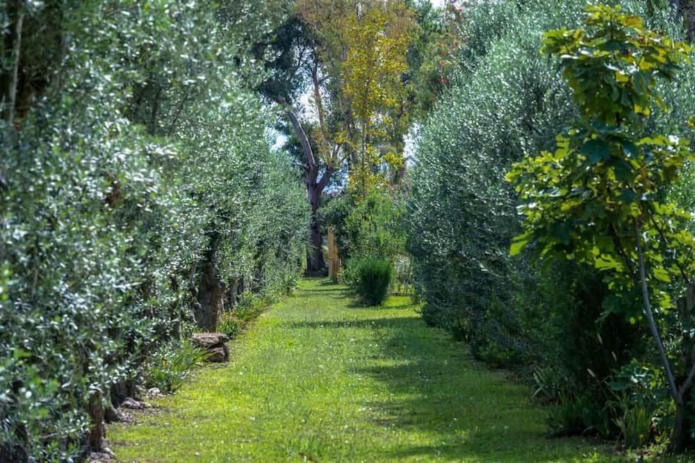 المظهر الخارجي