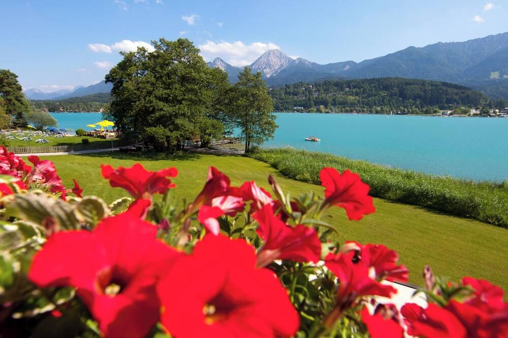 المظهر الخارجي