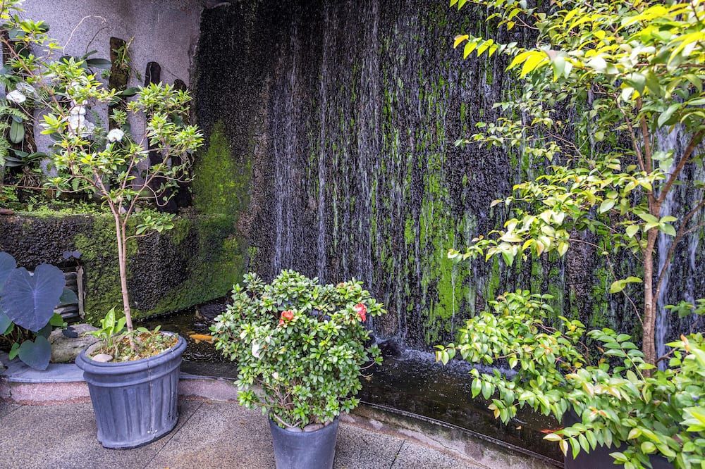 المظهر الخارجي