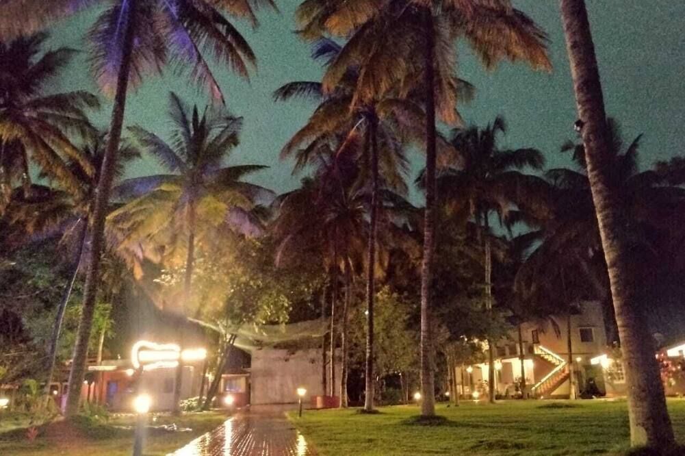 المظهر الخارجي