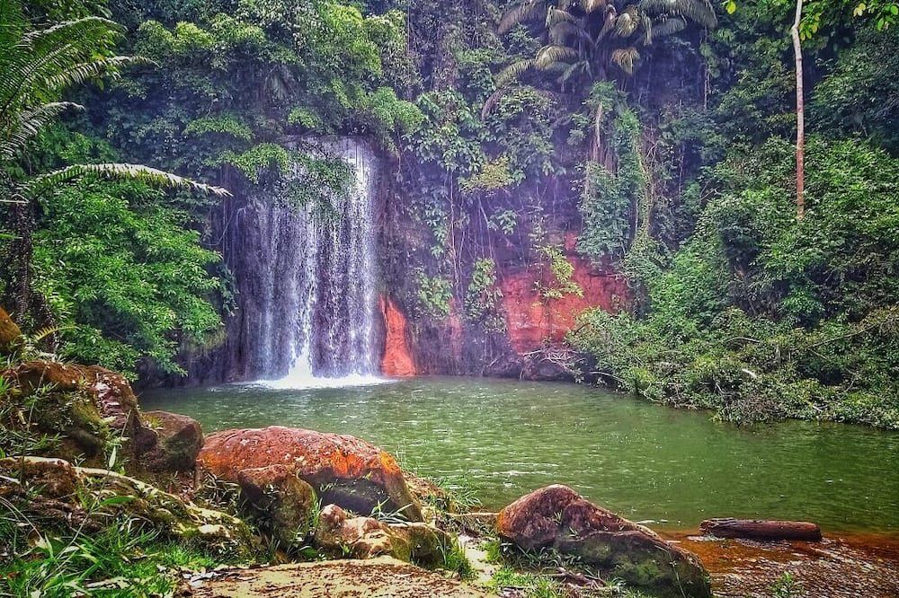 المظهر الخارجي