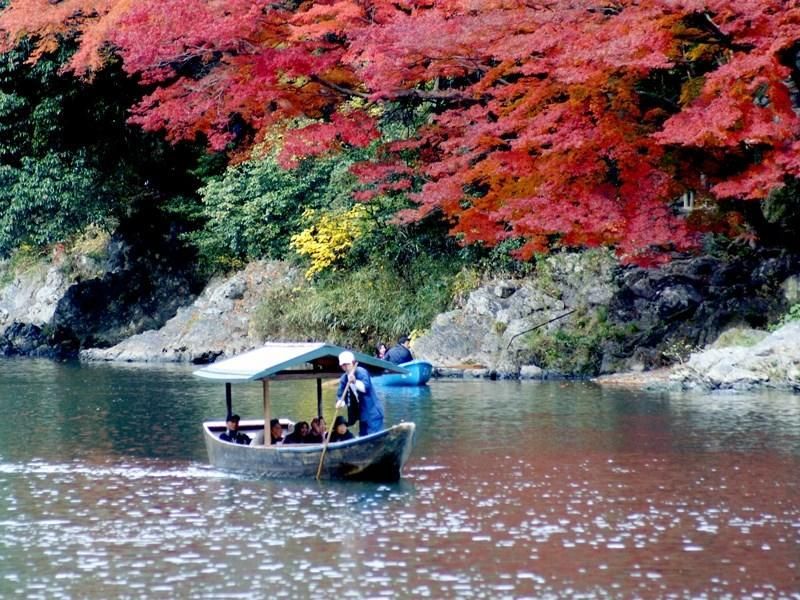 المظهر الخارجي