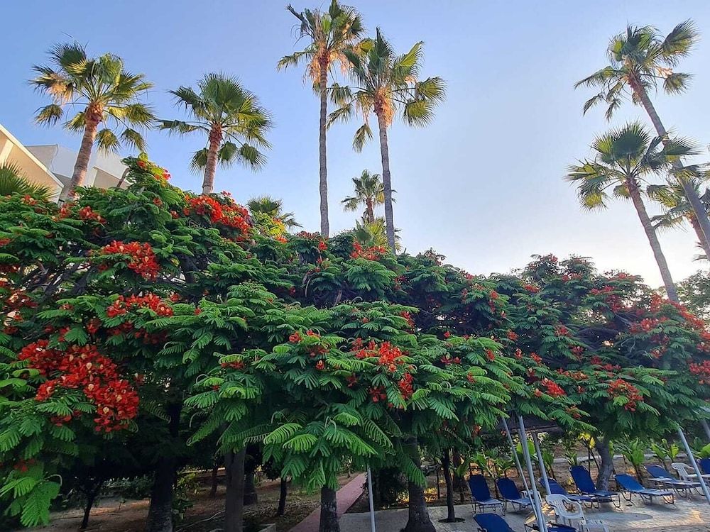 المظهر الخارجي