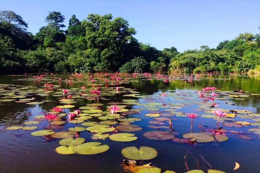 المظهر الخارجي