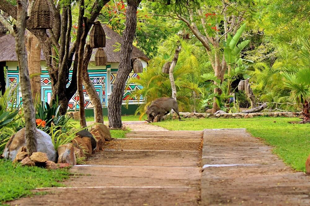 المظهر الخارجي