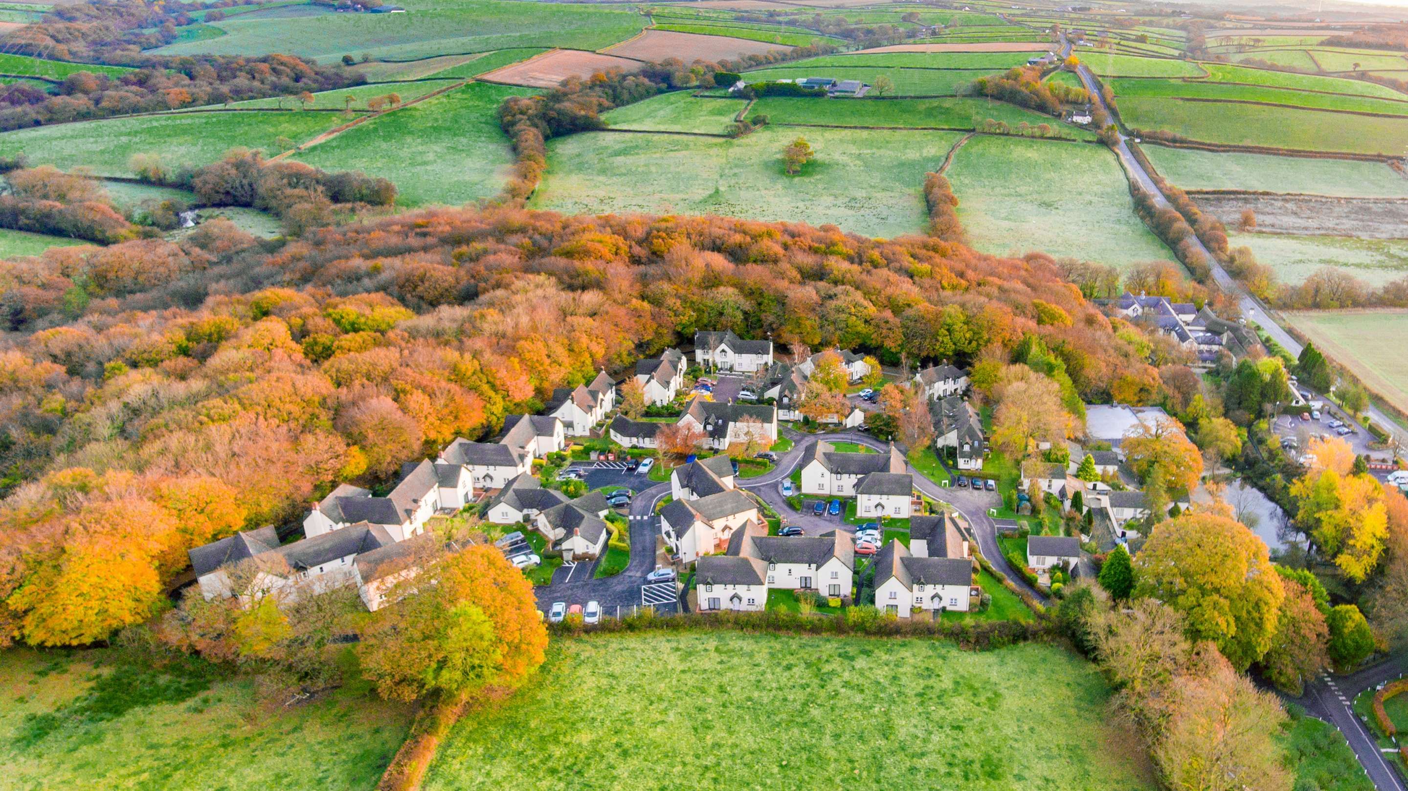 المظهر الخارجي