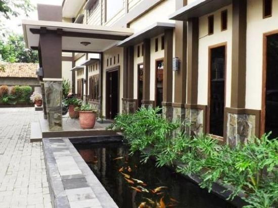 المظهر الخارجي