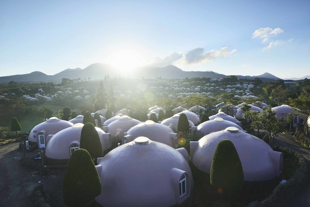 المظهر الخارجي