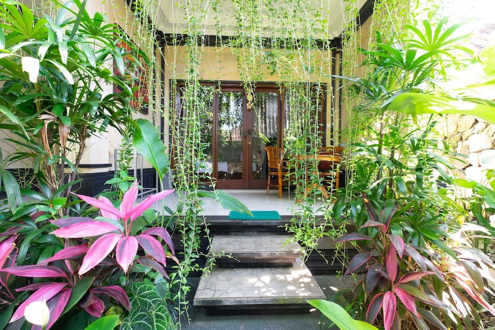 المظهر الخارجي