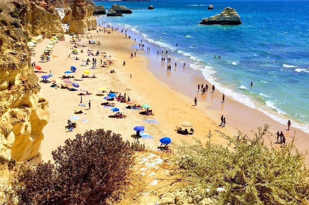 شاطئ صورة