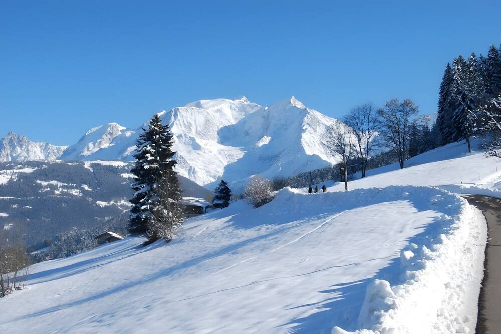 المظهر الخارجي