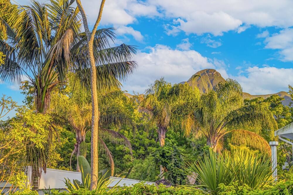 المظهر الخارجي