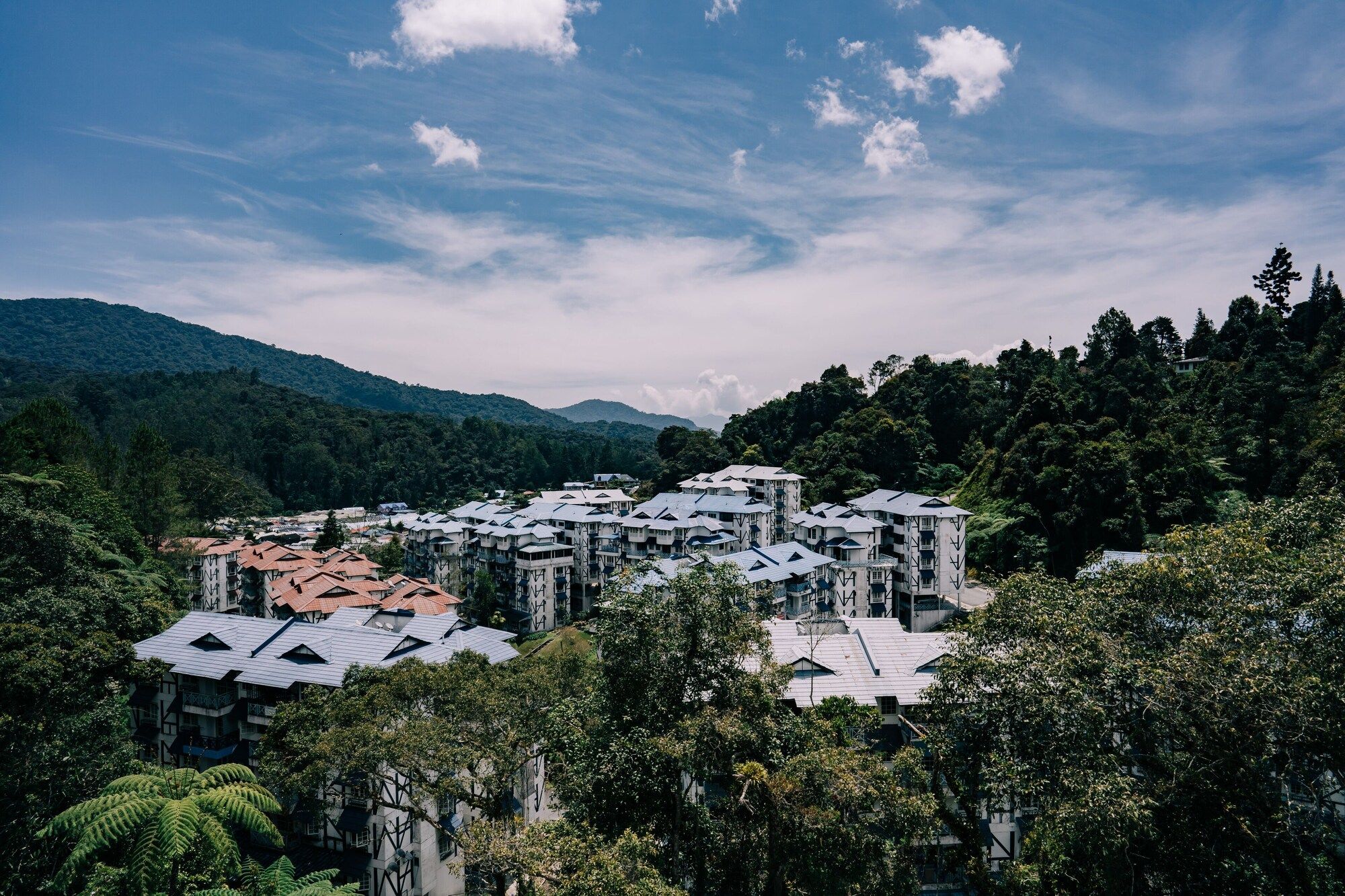 المظهر الخارجي