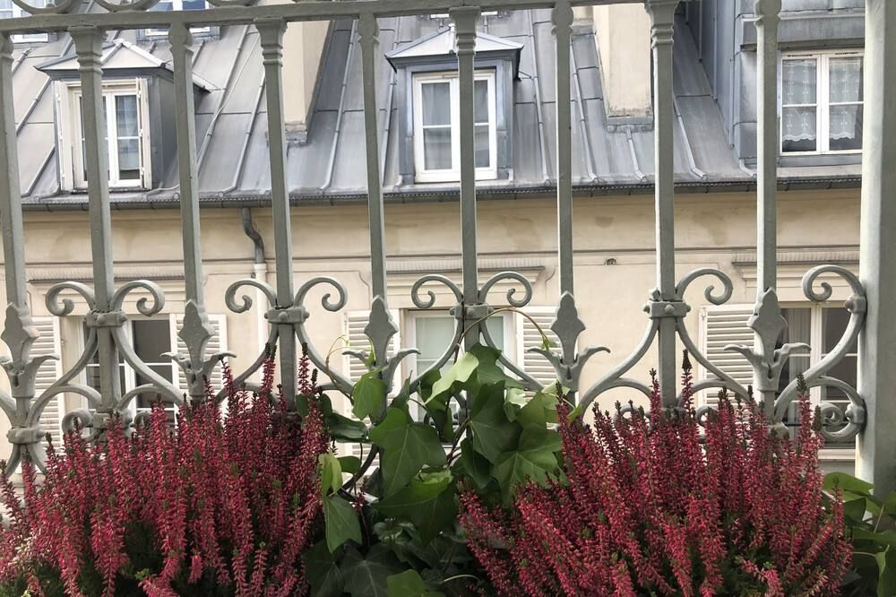 المظهر الخارجي