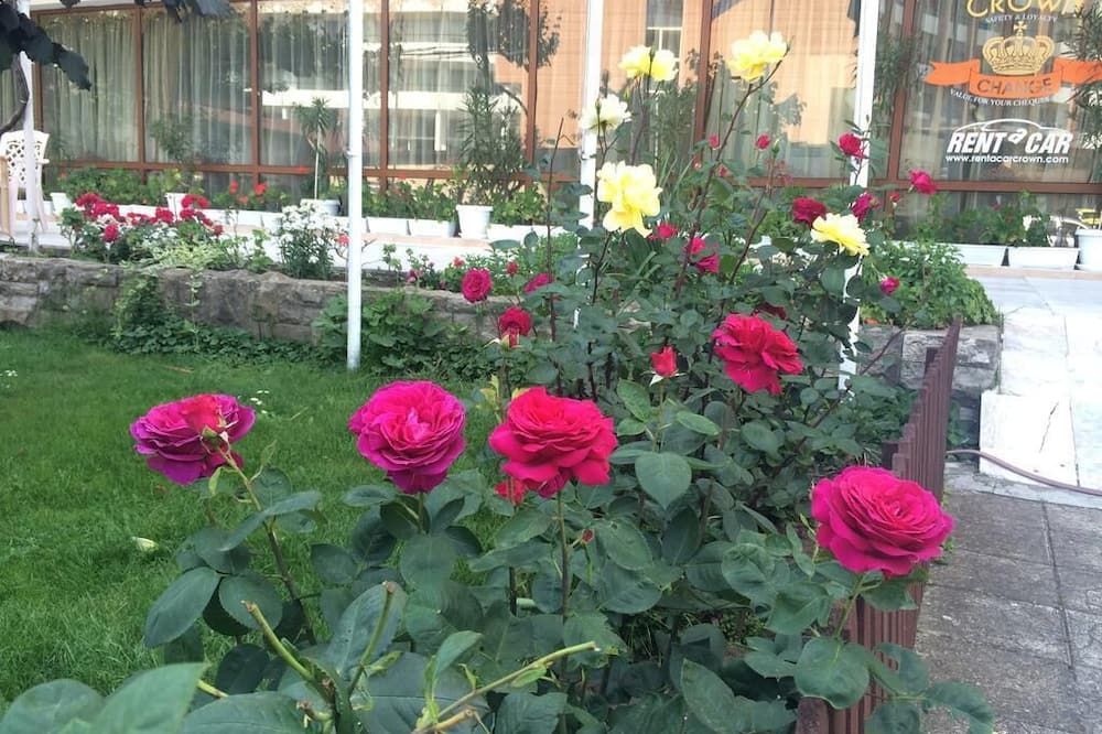 المظهر الخارجي