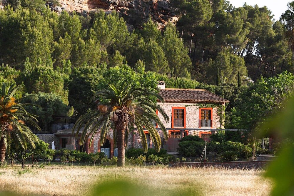 المظهر الخارجي