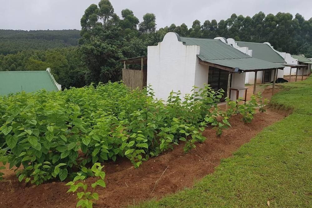 المظهر الخارجي