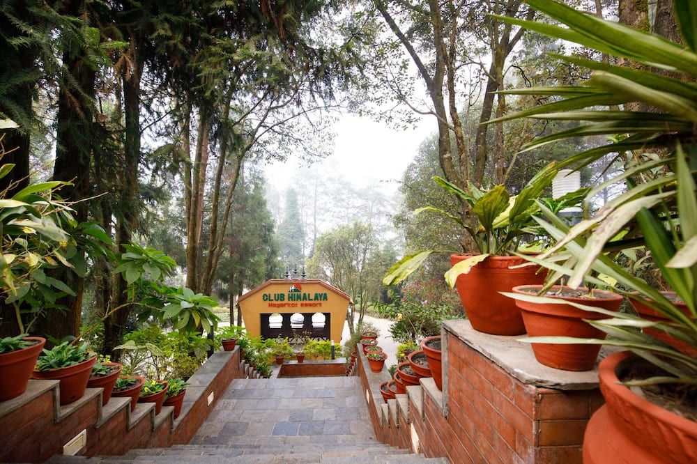 المظهر الخارجي