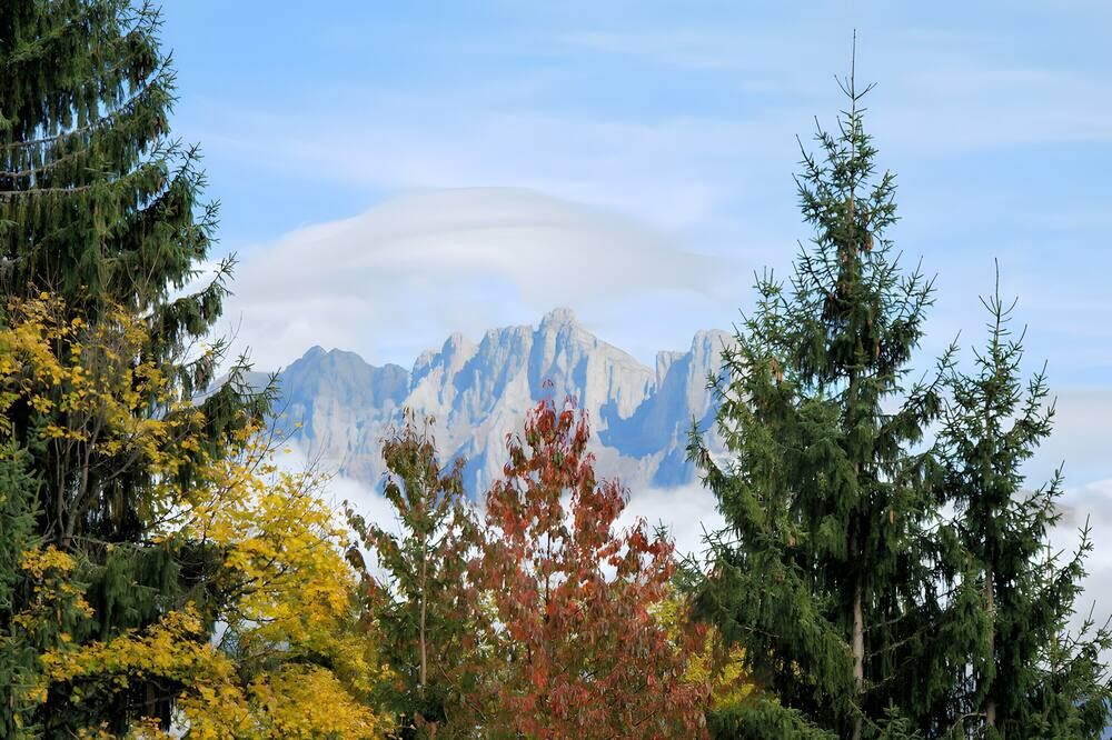 المظهر الخارجي