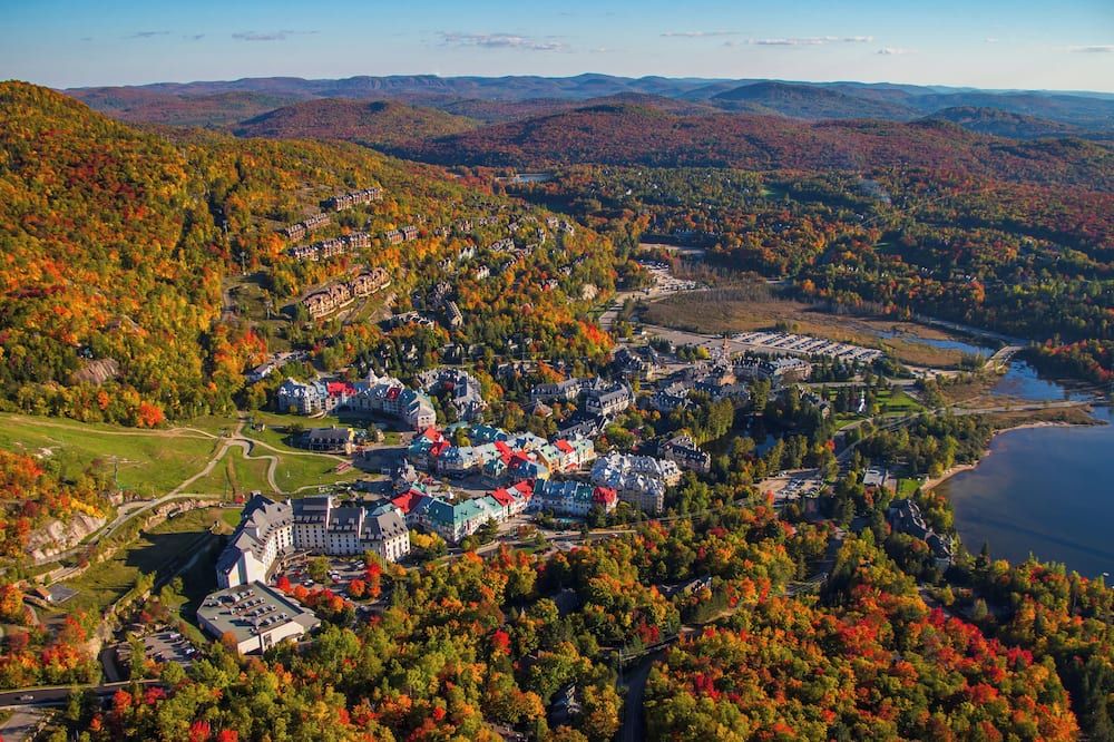 المظهر الخارجي