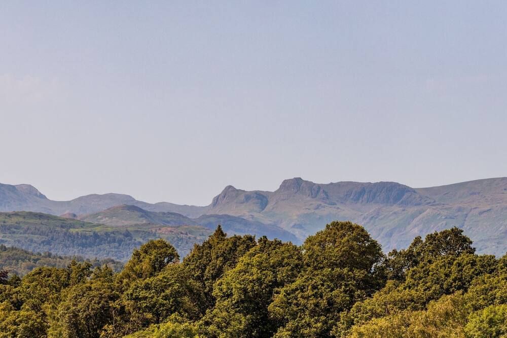 المظهر الخارجي