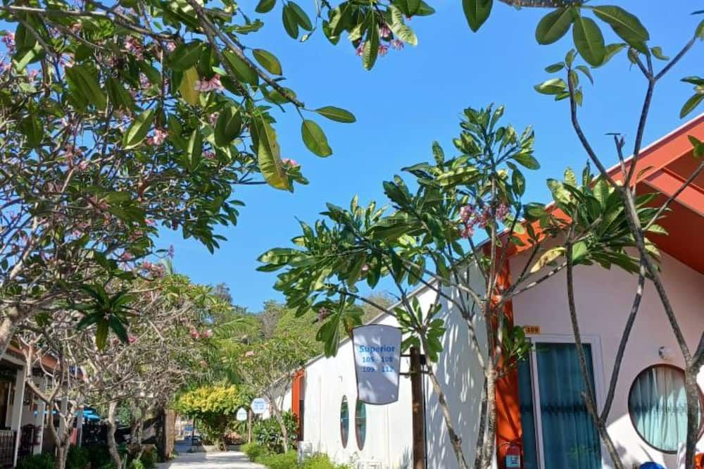 المظهر الخارجي