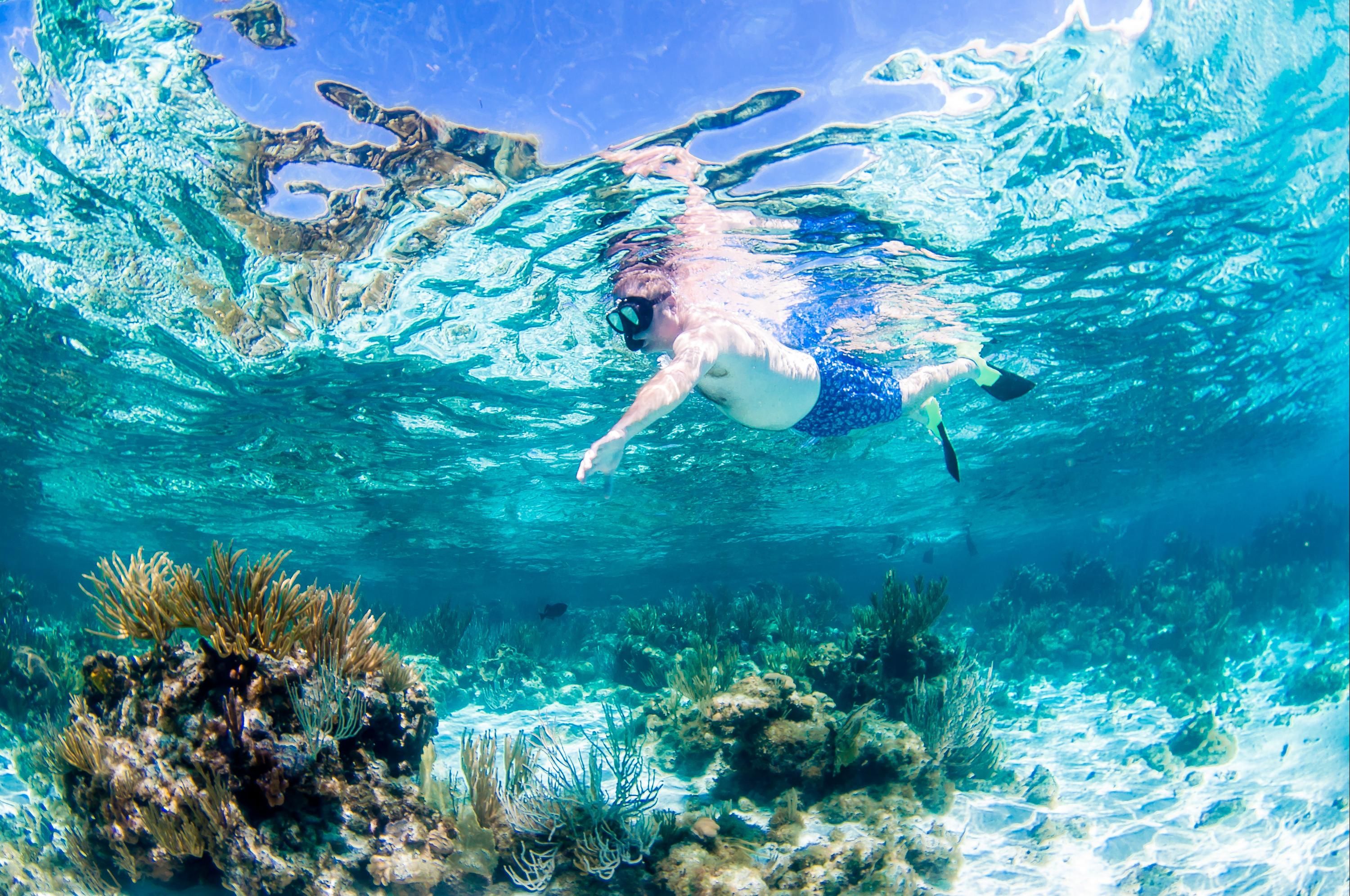 المعالم السياحية