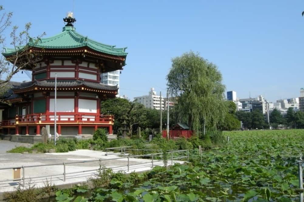 المظهر الخارجي